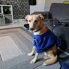 Andy Giles - @andy.giles0 - TikTok
