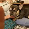 andygiles35 - @andy.giles5 - TikTok