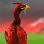 Andy Gilman - @andy.g.62 - Instagram