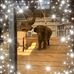 Andrea Gilson - Facebook