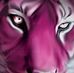 Andy Gilson - Facebook