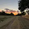 randygingerich - @randy.gingerich - TikTok