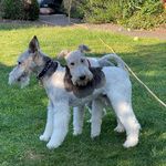 Andy Ginn - @andrew.ginn - Instagram