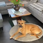 Andrea Ginsberg-Hausweiler - @ginsbergandrea - Instagram