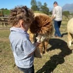 Andrew Ginsberg - @gins43 - Instagram