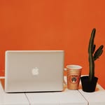 Andy Gionio - @andygionino - Instagram