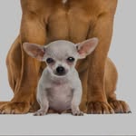 @andyg_iroux - Instagram