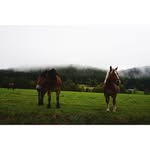 Andy Givens - @givens_andy - Instagram