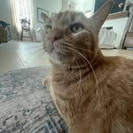 Andrew Gladden - @andrew_kys9 - Instagram