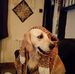 Andy Gladden - Facebook