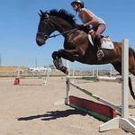 Andrea Glaser - @andyglaser - Instagram