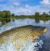 Andy Glaves - Facebook