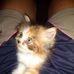 Andy Godek - Facebook
