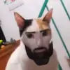 BigChungus24 - @andy.godoy168 - TikTok