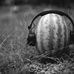Andy Goel - Facebook