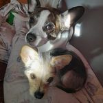 Andy Götschel - @andygoetschel - Instagram