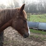 Andy Goffinet - @andy_goffinet - Instagram