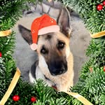 Andy Brenda Goforth - @brendag2838 - Instagram