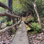 Andy Goforth - @g.i.texan - Instagram