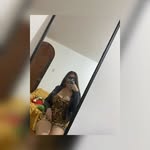 Andrea Goicochea - @andrea_goicochea.r - Instagram