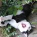 Andrea Goldbach - Facebook