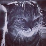 Andrey Golub - @andygolub76 - Instagram