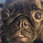 Andy Goncalves - @andygoncalves1970 - Instagram