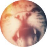 Andy Goodfellow - @goodster - Instagram