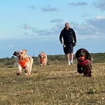 Andy Goodman - @teddy_bear_and_albie - Instagram