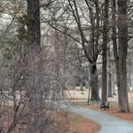 Andy Goodman - @walkandtalkstl - Instagram