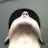 Andy Goodman - @andy_goodman - TikTok