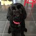 Andy Goodson - Facebook