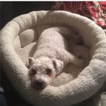 Andy Goodwin - @andy_goodwin_ - Instagram