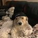 Andrew Goosen - Facebook