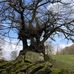 Andrew Gornall - Facebook