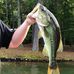 Andrew Goss - Facebook