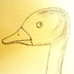 Andy Goss - @goss.andy - Instagram