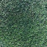 Andy Gossel - @andygossel - Instagram
