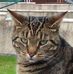 Andrew Gourlay - Facebook