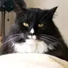 andygourlay803 - @andygourlay803 - TikTok