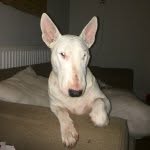 Dr Andy McGowan - @andymcgowan67 - Instagram