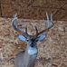 Andrew Graber - Facebook