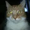Andy Grabert - @andygrabert - TikTok