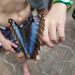 Andy Grabert - @andygrabert - Instagram