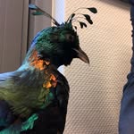 Andy Grabowski - @grabowski.andy - Instagram