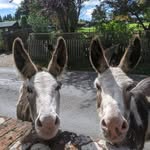 Andy Grandfield - @andygrandfield - Instagram
