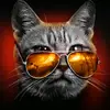 Andy le grand - @andy.le.grand - TikTok