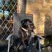 Andy Grantham - Facebook