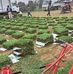 ANDY COSTA GRASS - Facebook