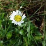 andy grayson - @grayson9684 - Instagram